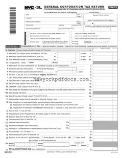 Free Nyc 3L Form